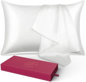 Silk Pillowcase for Hair and Skin 1 Pack, 100% Mulberry Silk & Natural Wood Pulp Fiber Double-Sided Design, Silk Pillow Covers with Hidden Zipper (sta